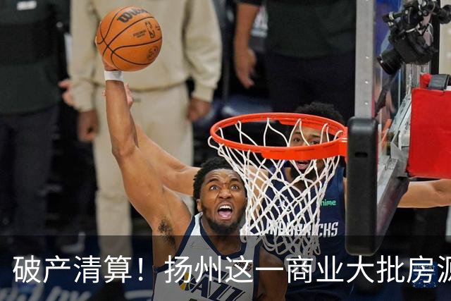 破产清算！扬州这一商业大批房源遭拍卖！
